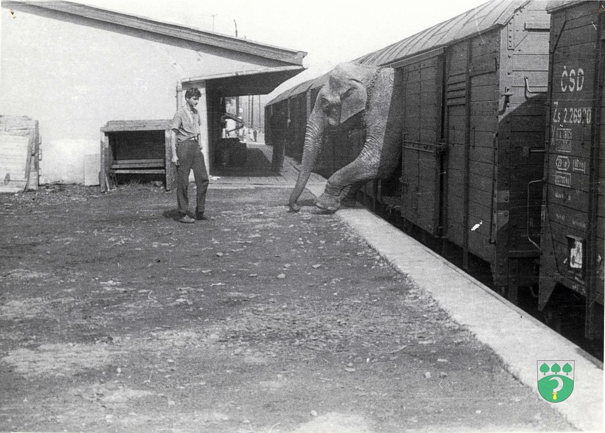 ndra v Karvinn 1960, cirkus Varava