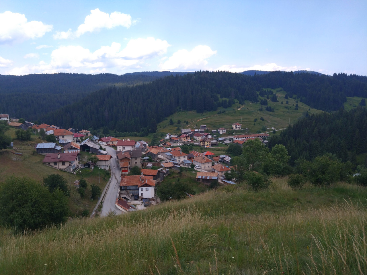 Bujnovo