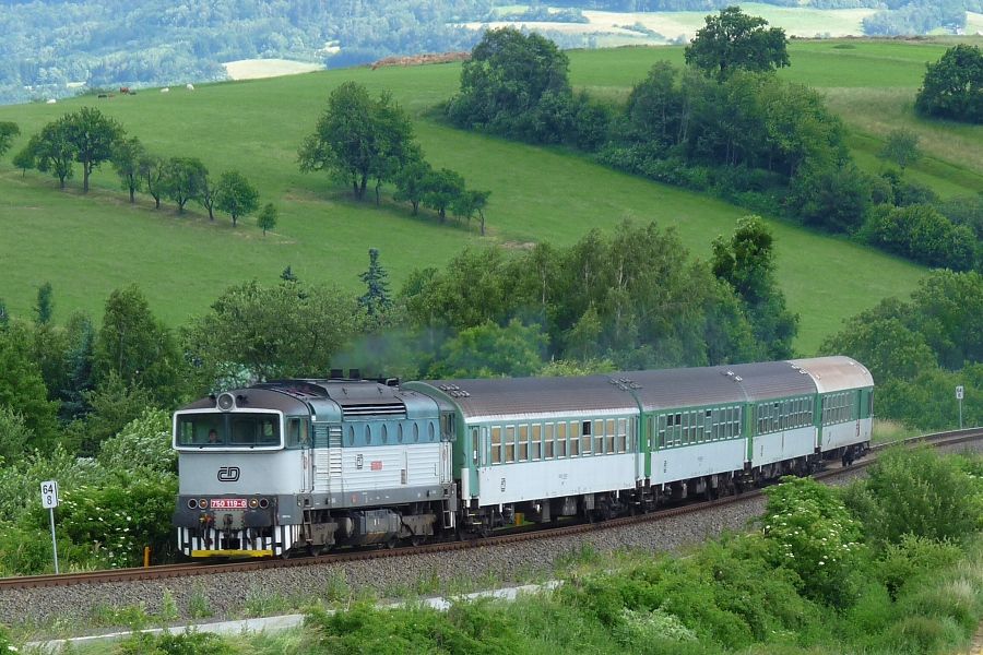 750 119-0, Krhov�, 23.6.2010, foto: Dobi� Ji��