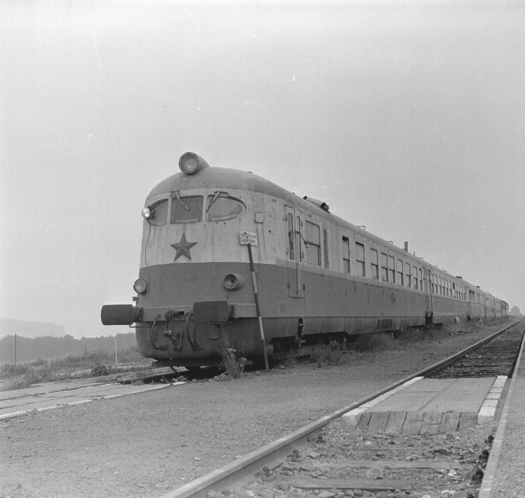 M 295.1001