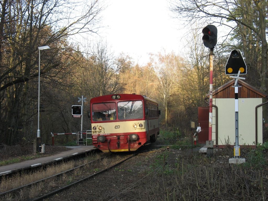 Os 19908