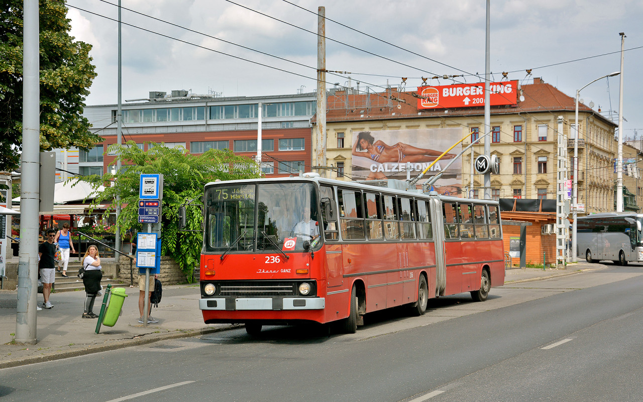 Ikarus 280T #236, linka 75, 16.6.2023