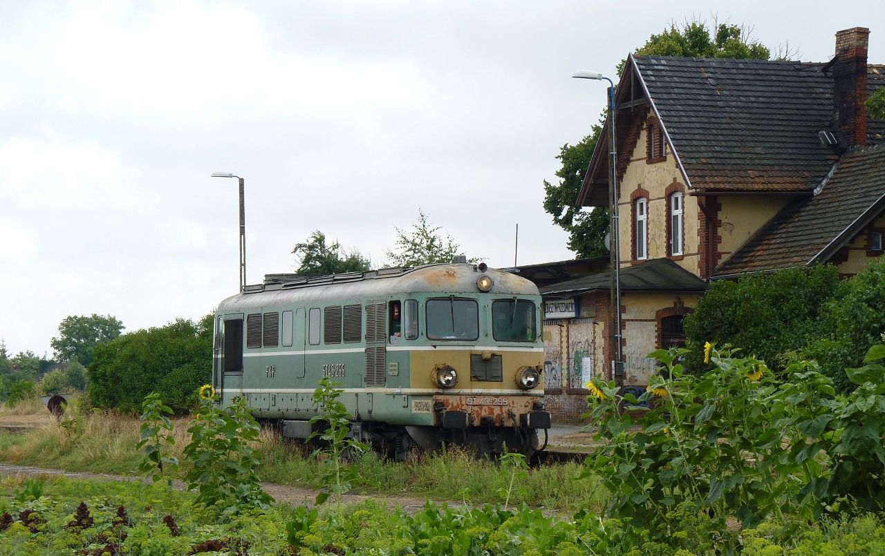 ST43-255, Zbaszyn przedmiescie, 4.8.2013, foto.Vojtch Gek