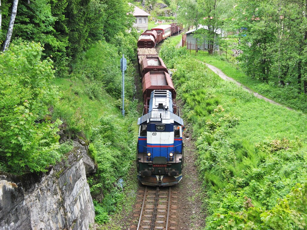 743.010 s desetivozov�m n�kladn�m vlakem mezi Desnou a Tanvaldem dne 2.6.2006