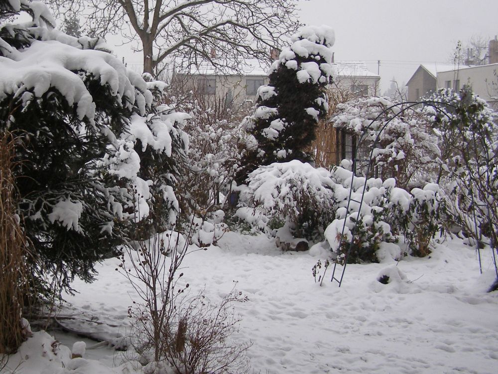 Pohled na nai zahradu dneska - 1.12.2010