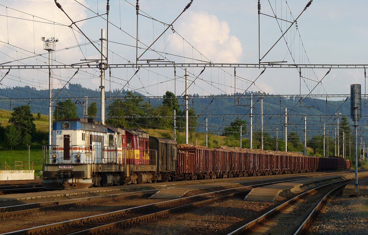 742.064+742.102, Horn� Lide�, Mn 81000/1, 11.8.2010, foto:Vojt�ch G�ek