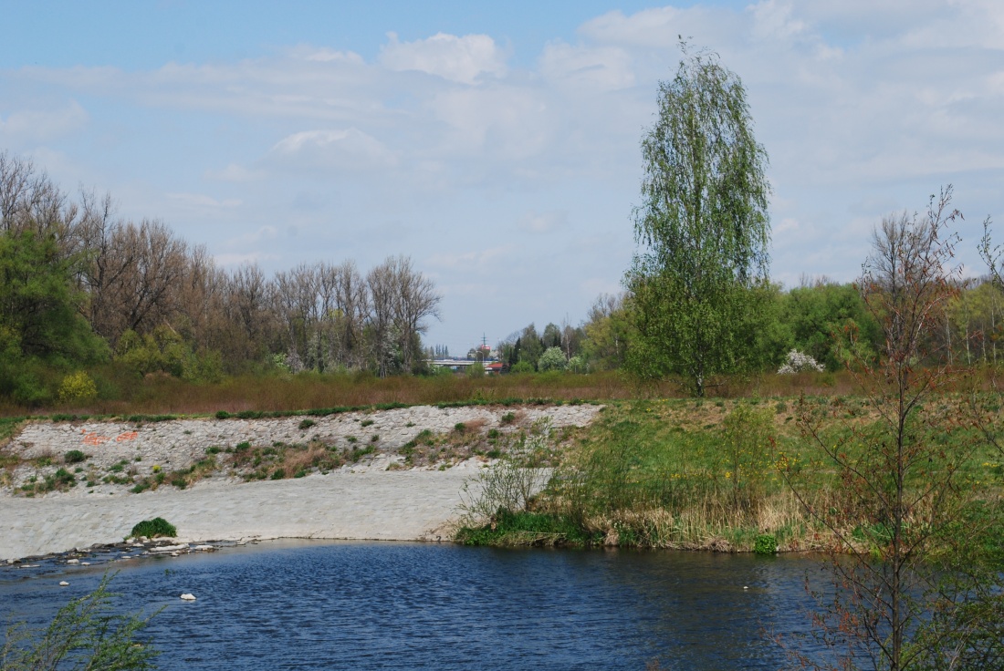Olza, pohled k Bohumnu, vzadu most, odkud je vyfocen 1. fotka (Ostravsk)