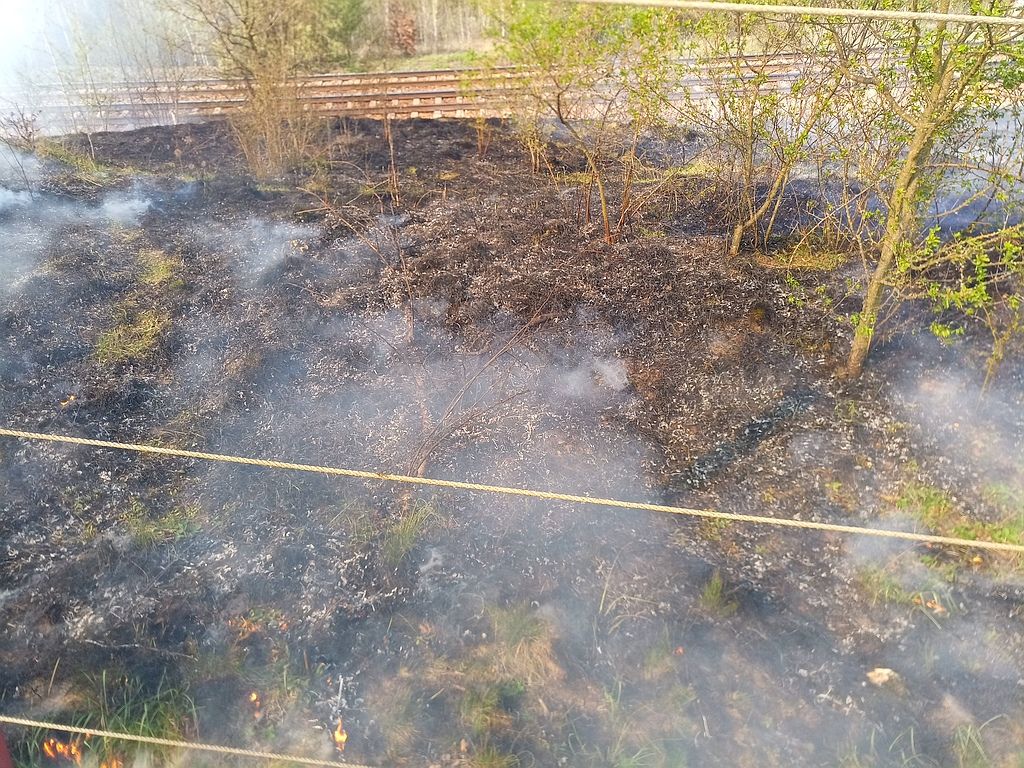 Po��r pod�l trati 250 pond�l� 15.04.2019