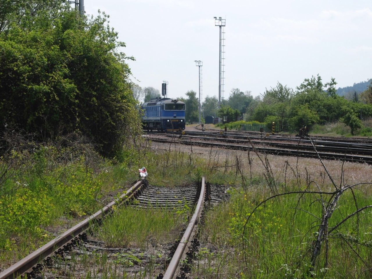 pohled z vle�ky do �st