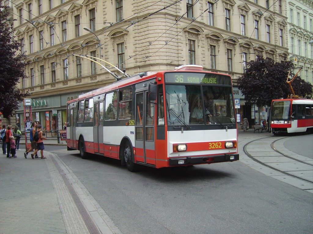3262