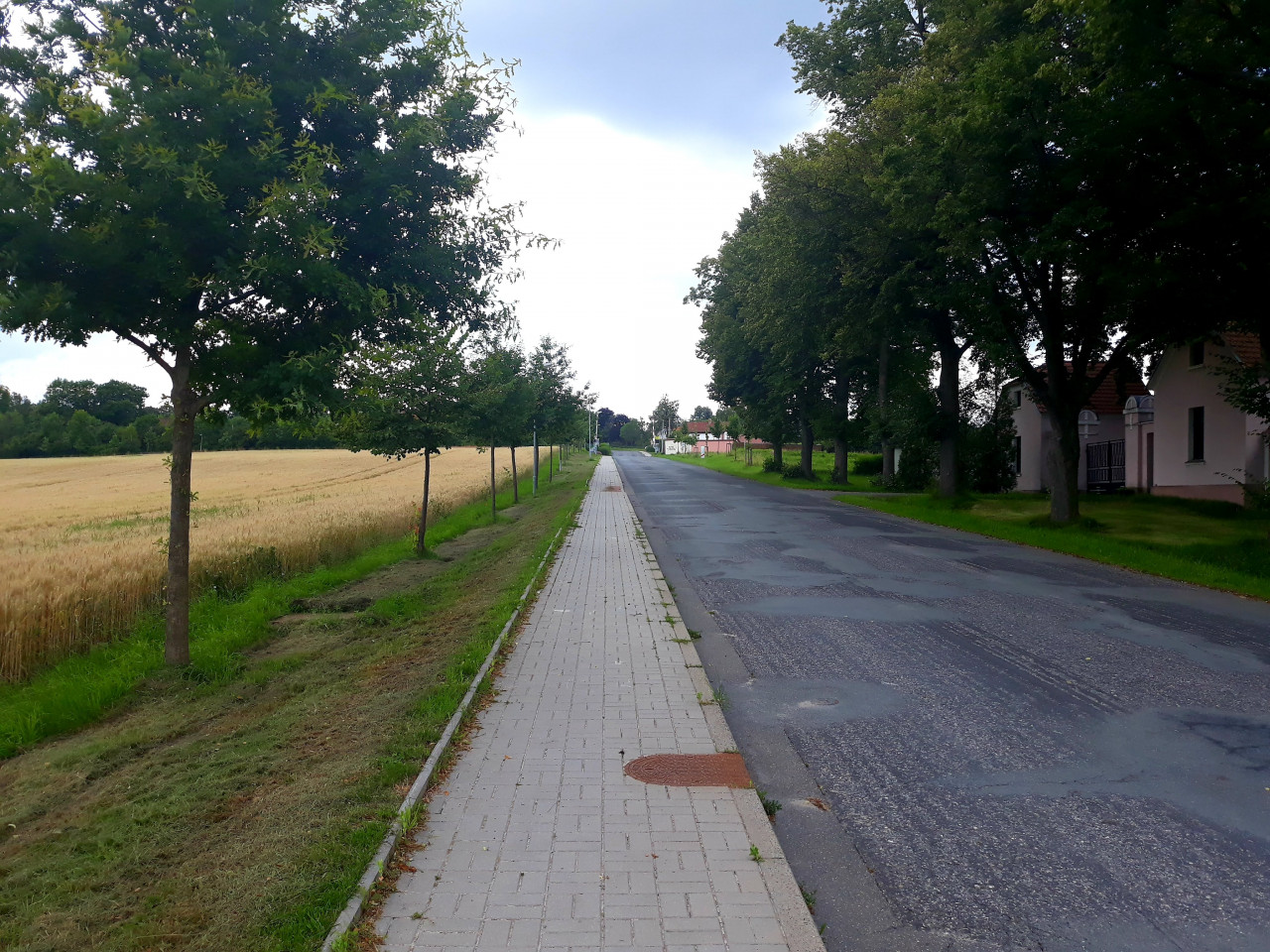 Ulice Pražská, vpravo tamní hřbitov. (16.7.2021)