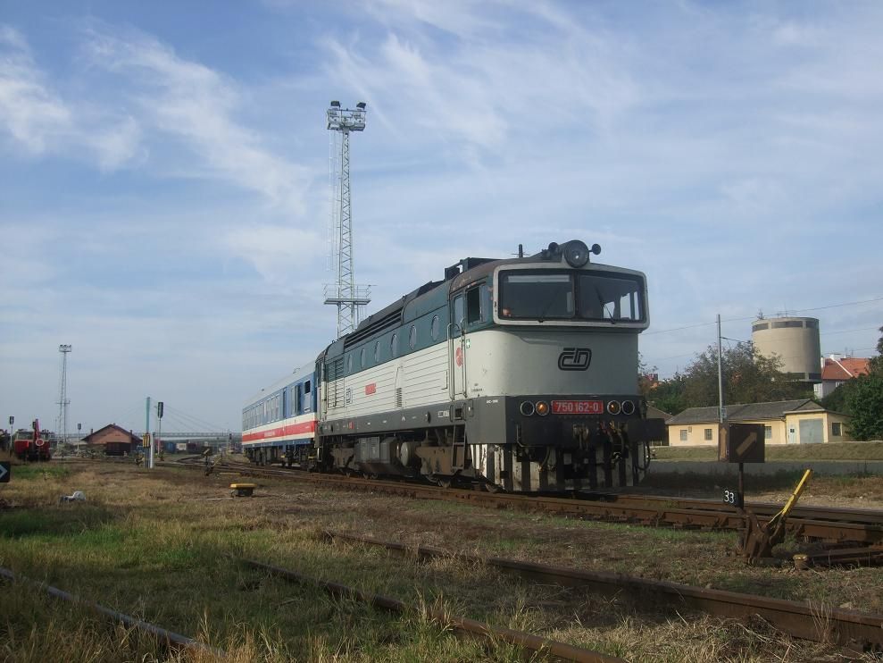 Dne�n� brejlovec s m���c�m vozem.