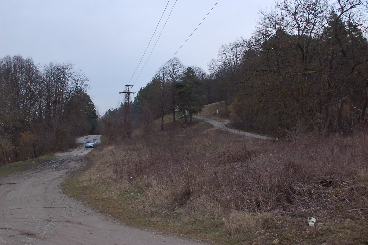 12-pohled na tleso trati smr Lieskovec (mezi stor 22kV a stromy vpravo cca 500m od brny