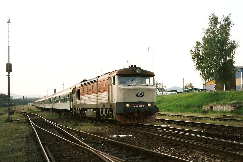 749.013 �esk� L�pa hln (R 691 VALD�TEJN) 17.5.02