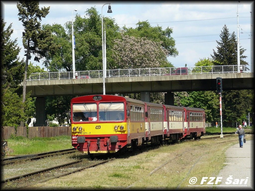 810 271 Zl�ne�ek