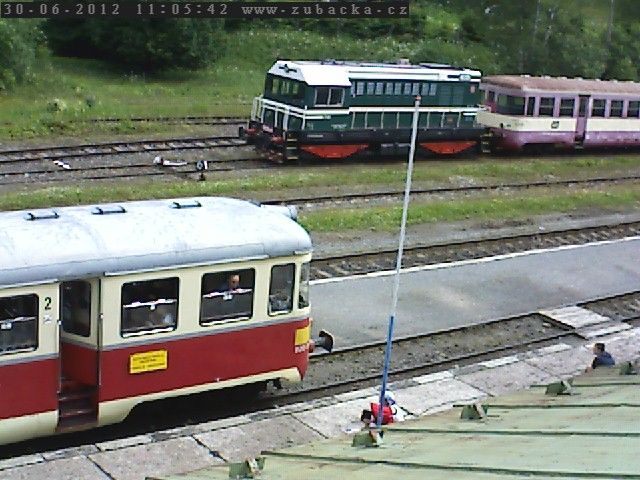Singrovka v pop�ed� a Hektor v pozad�