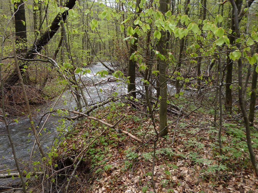 pohled zp�t na odplaven� �sek v�etn� 2. mostu p�es Oknu