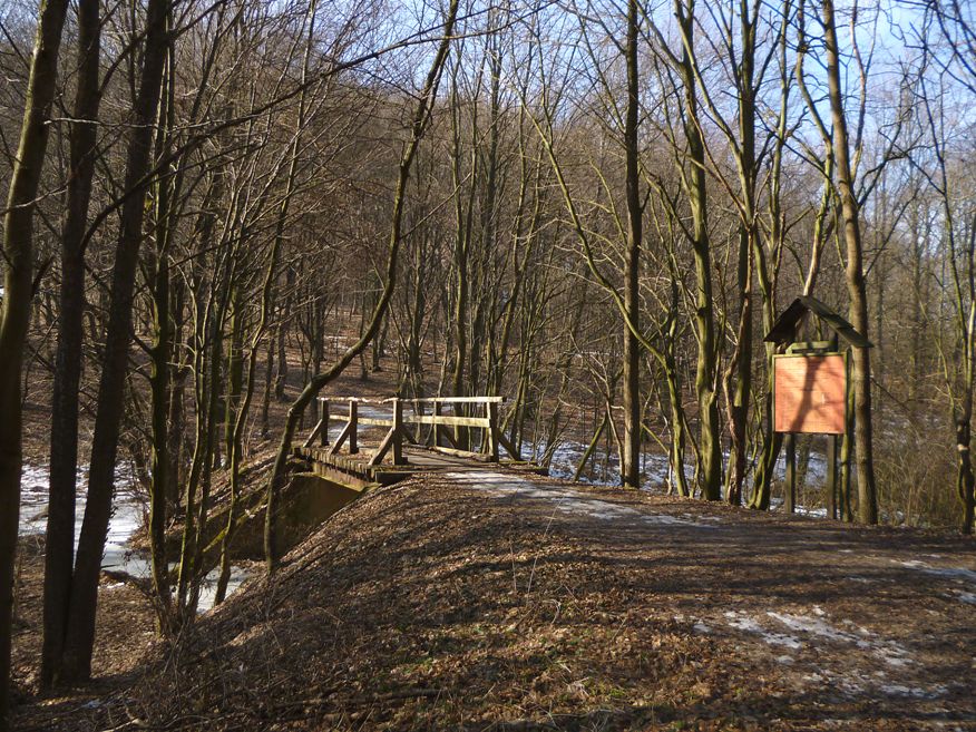most pes Soblahovsk potok v st doliny Bindarka