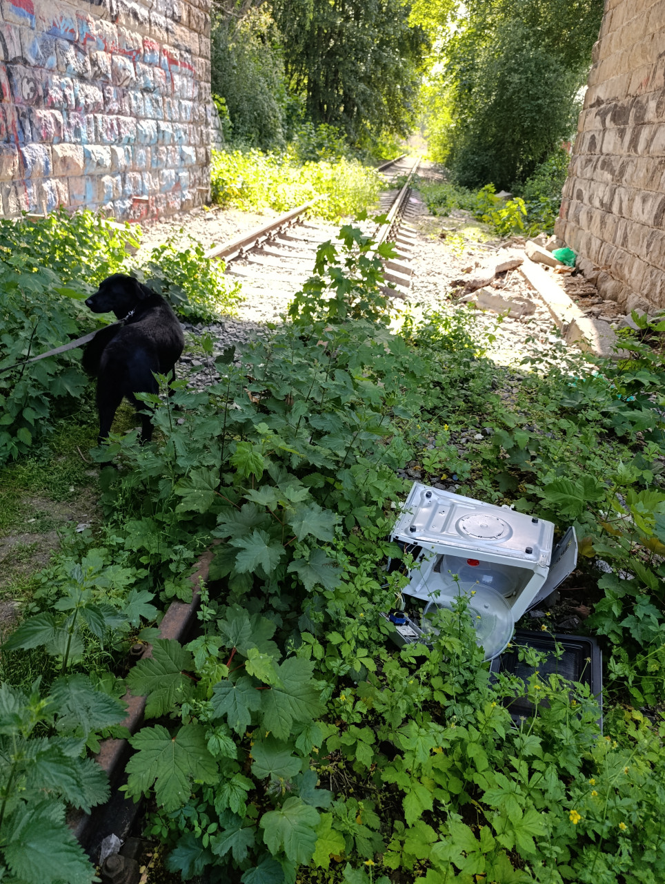 Budouc� zast�vka T�ebe��n a okol� 26.5.2026