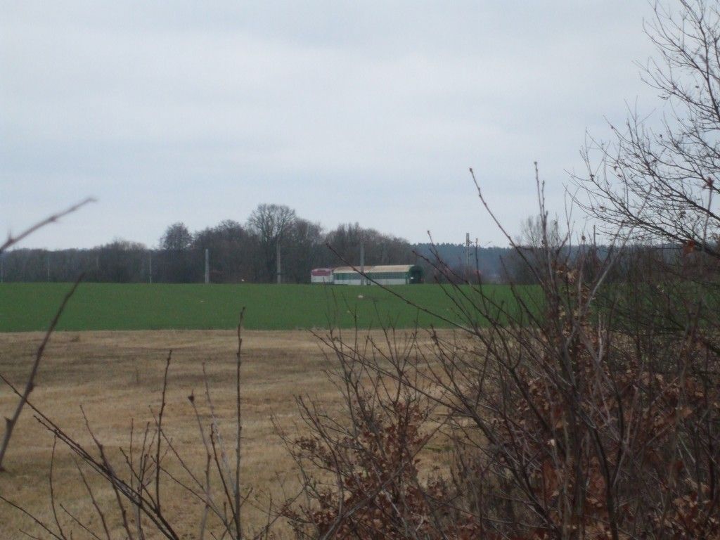 R1246