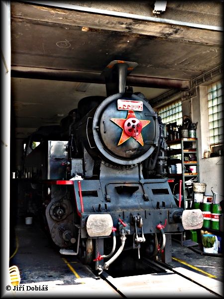 Na sn�mku u� spokojen� zachycen doma ve Val. Mezi����, 23.6.2013