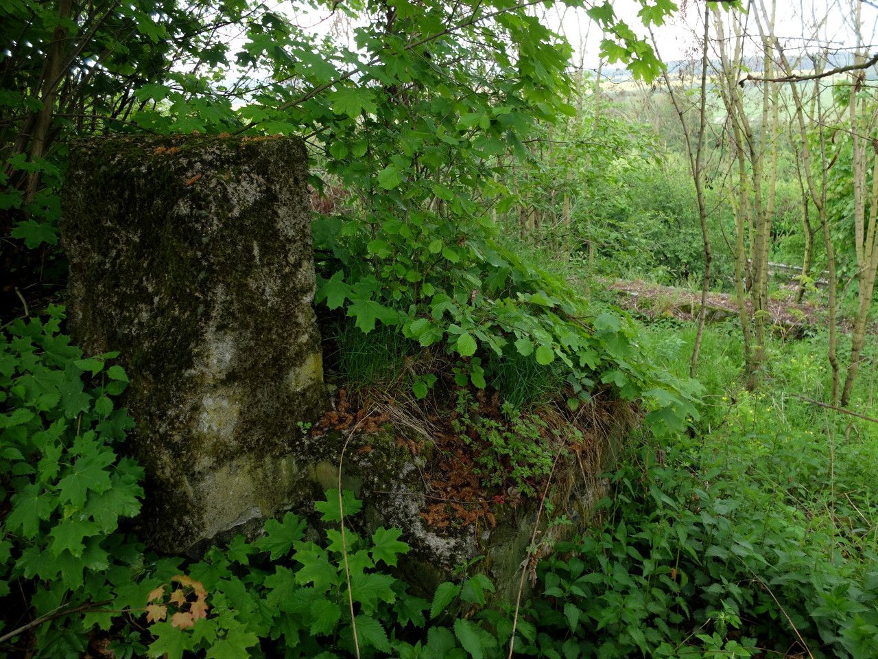 pohled od �t�rkovny k trati