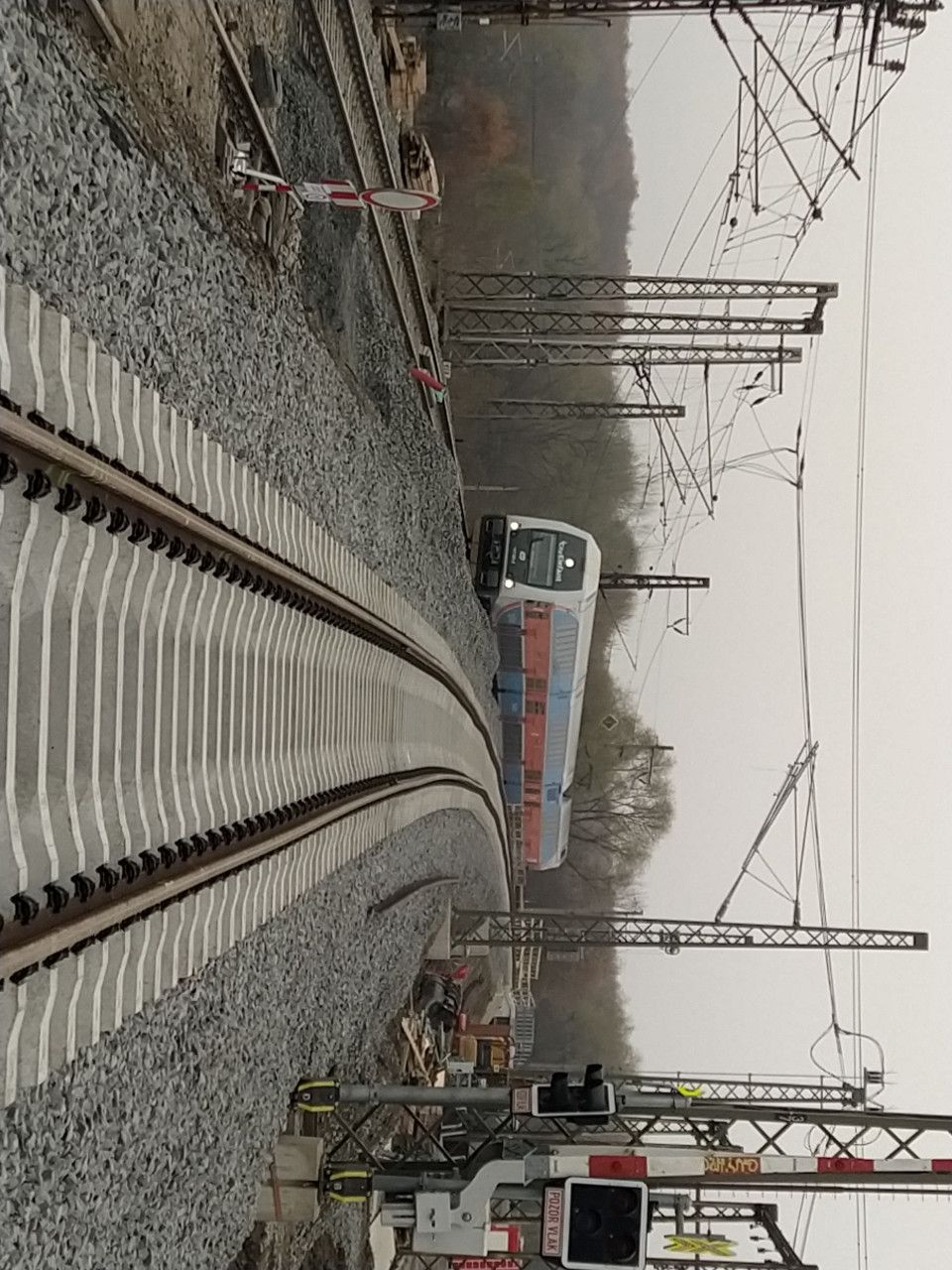 Triangl 27.11.2020