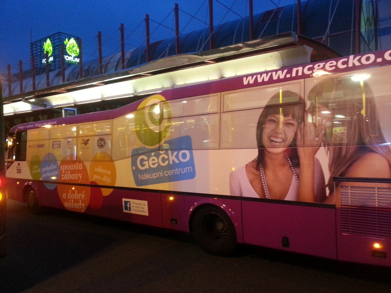 331 a NC G��ko