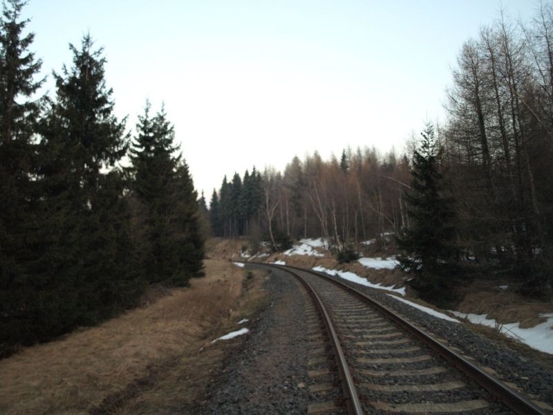 Tra� 137