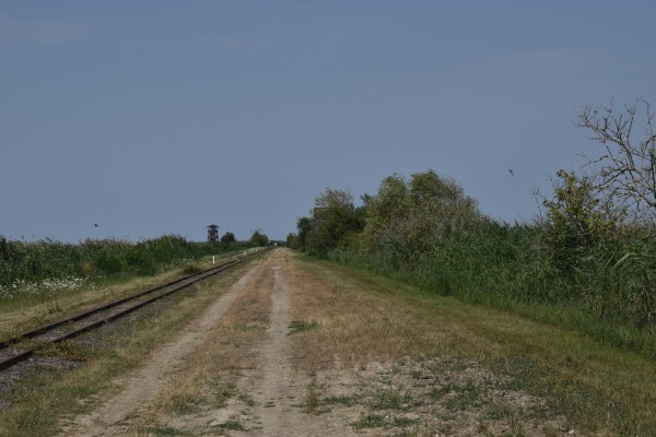 B2