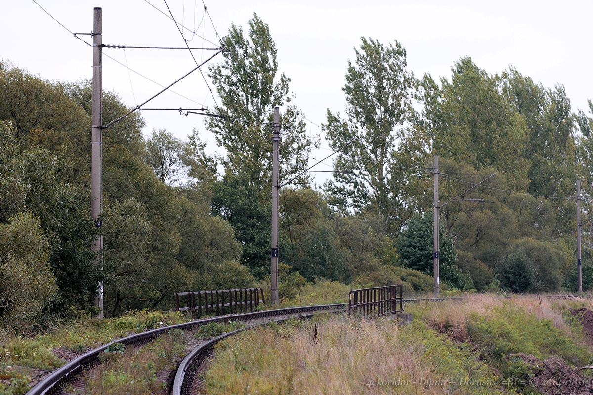 tady druh�
