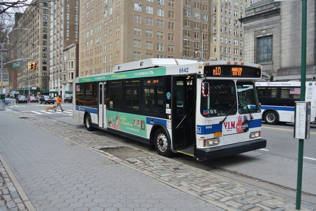 typick newyorsk mstsk autobus