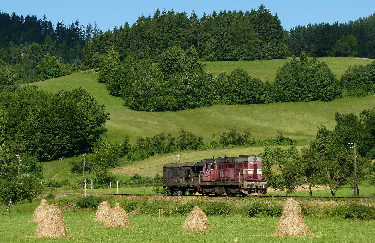 742.139, Nov� Hrozenkov, Mn 80731/1, 29.6.2010, foto:Vojt�ch G�ek