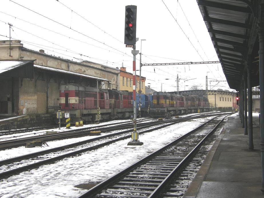 Kocoui v Plzni 24.12.2009