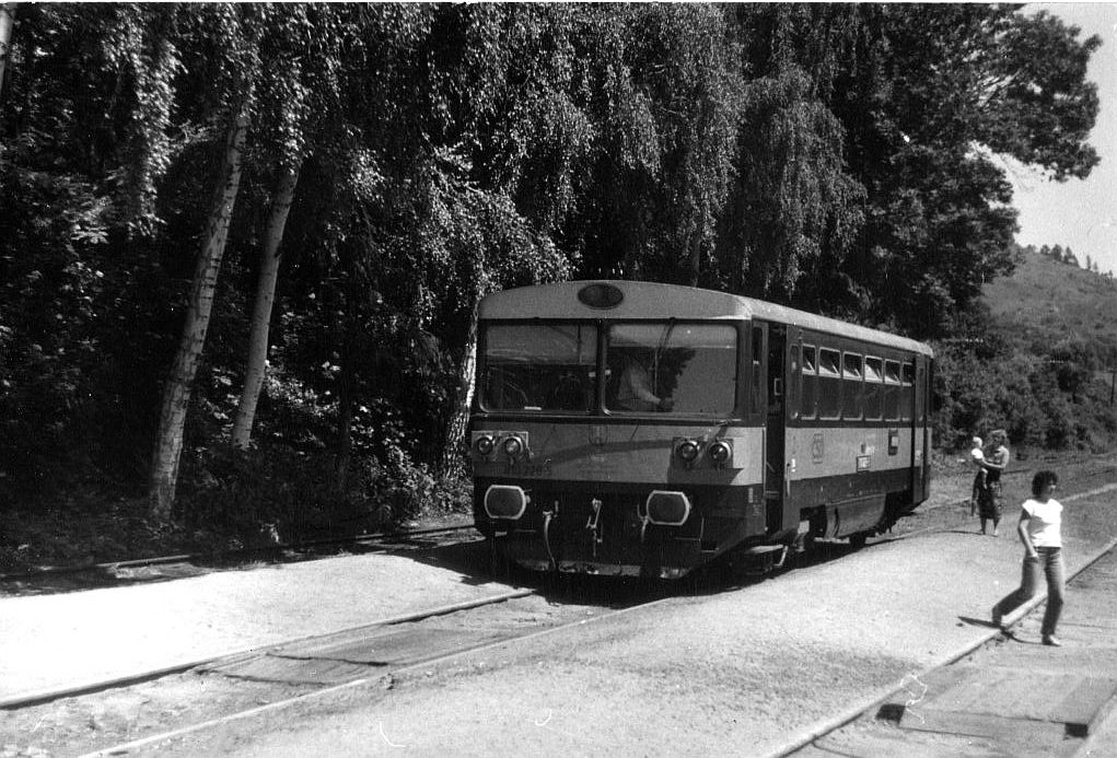 T�eb�vlice �ervenec 1991