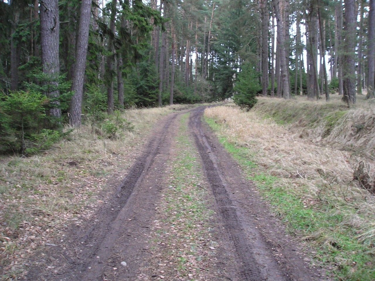 Pokraovn trati ped v lesnm seku ped bvalou zastvkou Borovko.