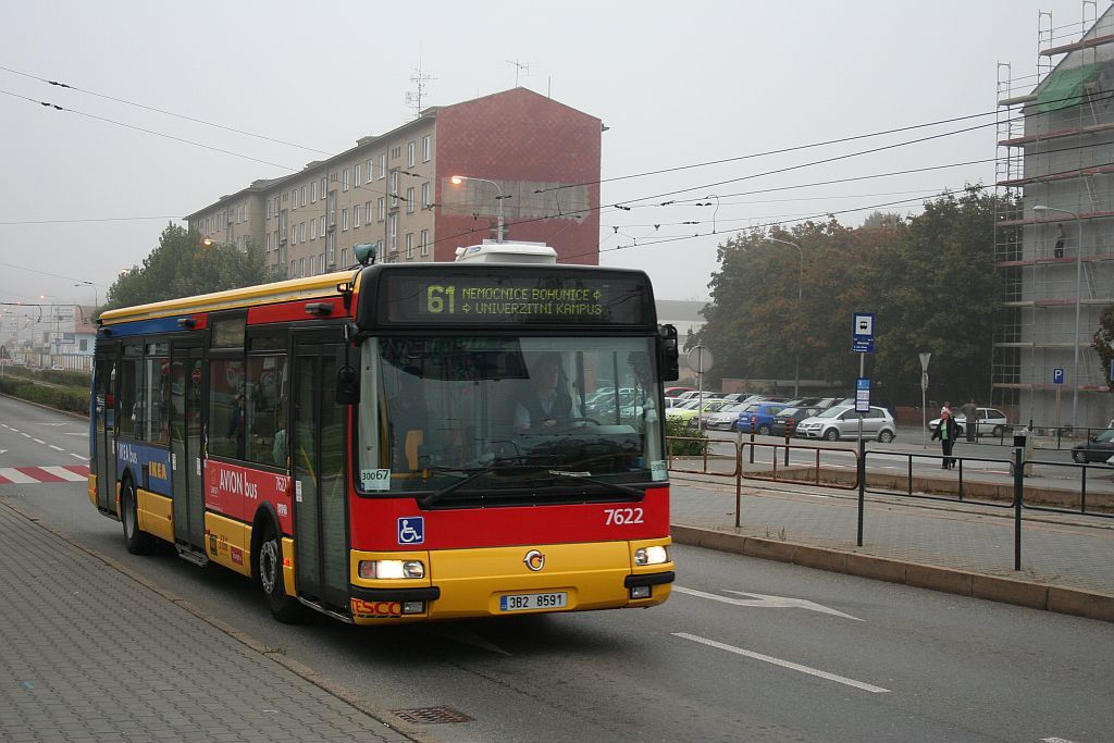 Dne�n� ml�n� r�no, Nov� Sady a reklamn� Citybus.