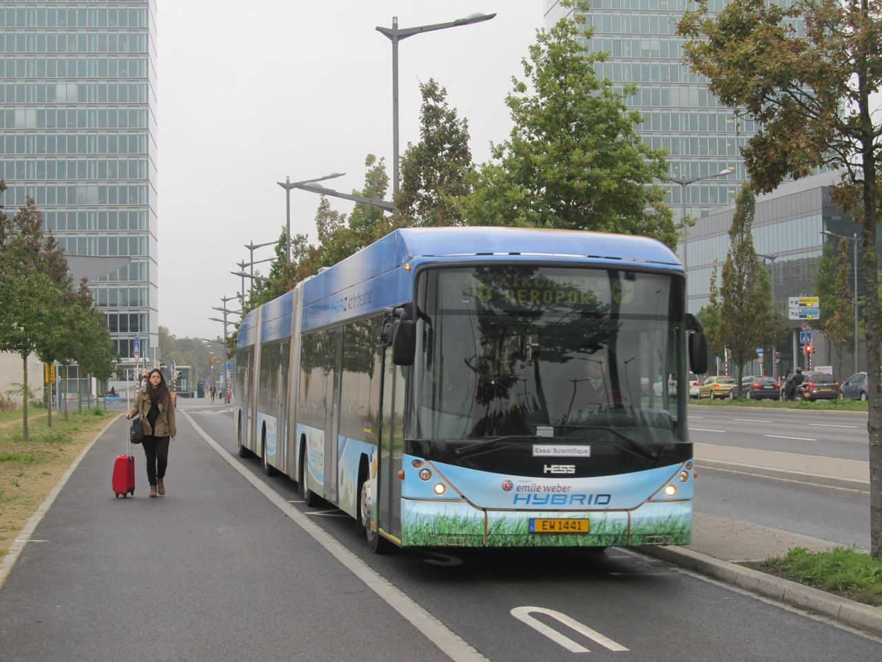 maj� tu i hybridn� t���l�nek od Hesse