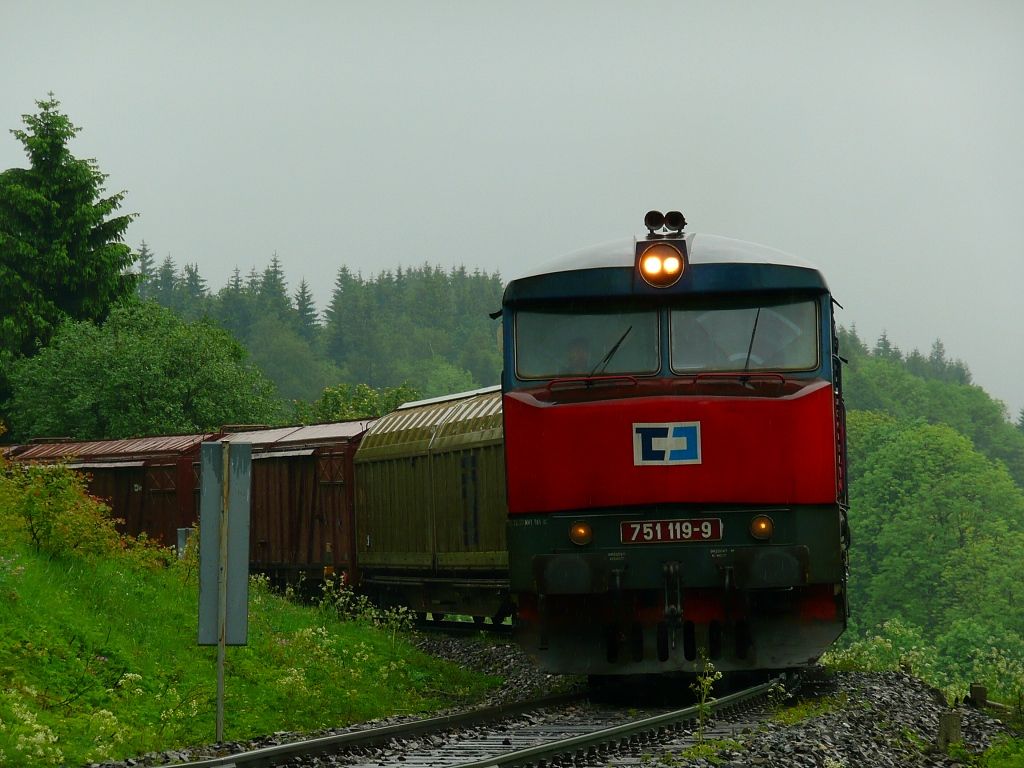 751 119-9 u Ostrun