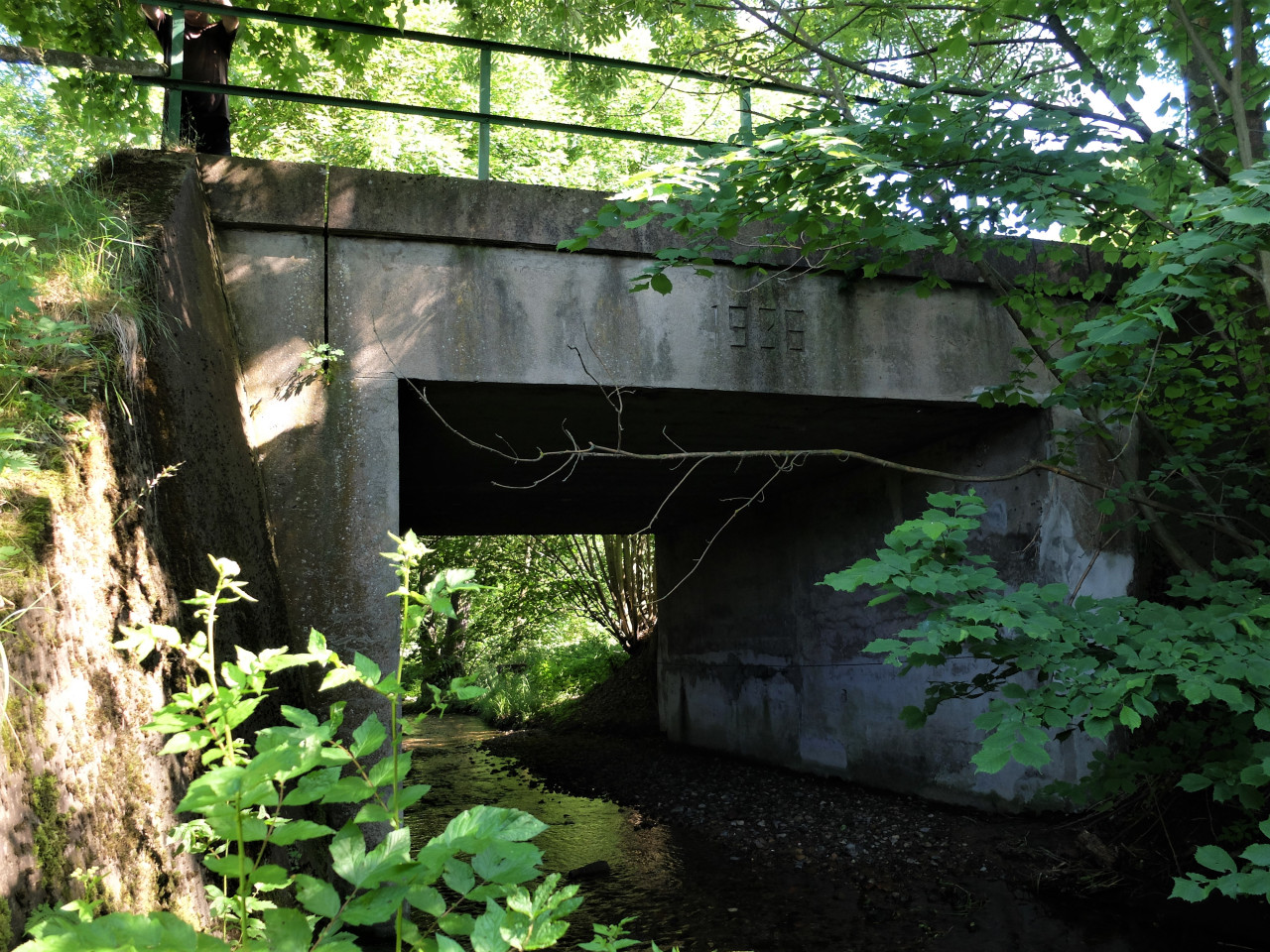 most pes Hranin potok 1936