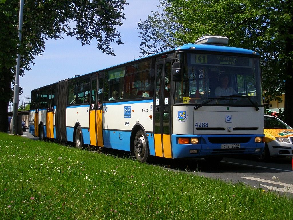 Mimosolarisov� foto.