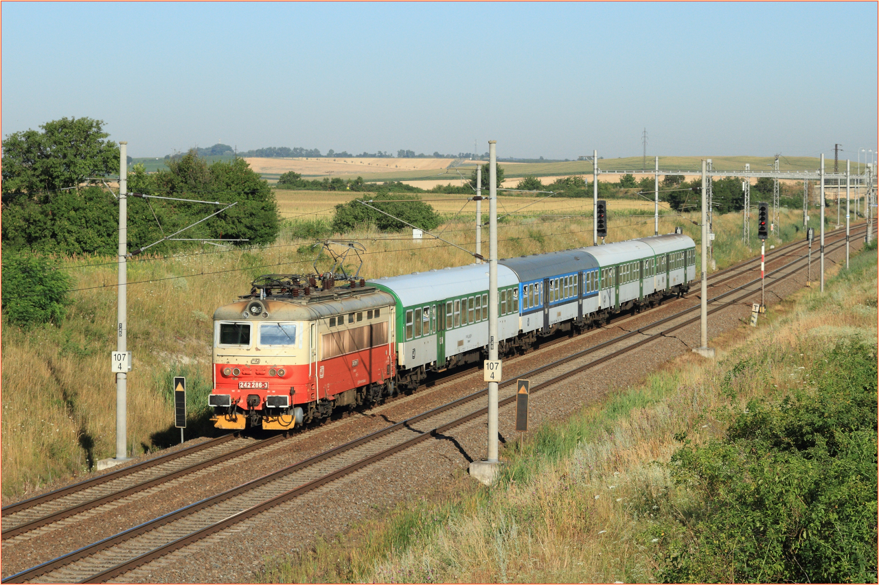242286-3_130802_Os4603 �akvice-Zaje��