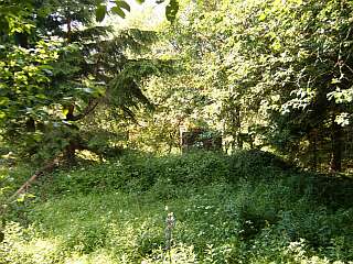 v�sypka