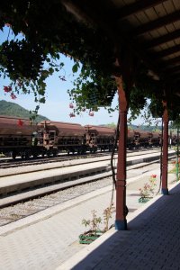 Vyrovnávkový vlak, připravený dopoledne 12. srpna 2011 k odjezdu ze stanice Rogatec.